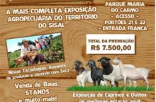 exposerrinha 2018